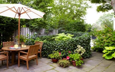 gardening-designs-small-gardens