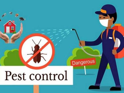 pest-control